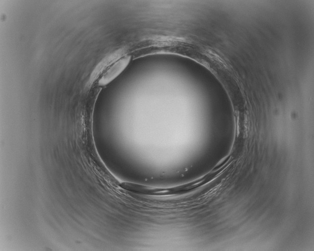 X0000057091261200509091304