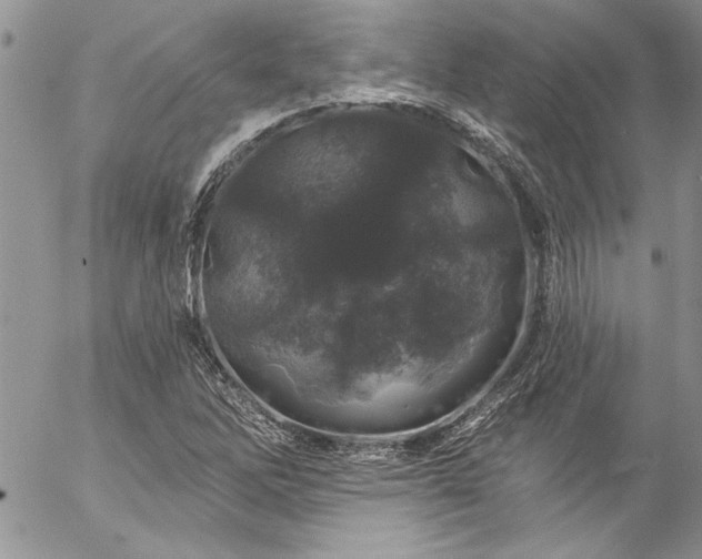 X0000057091262200509091304