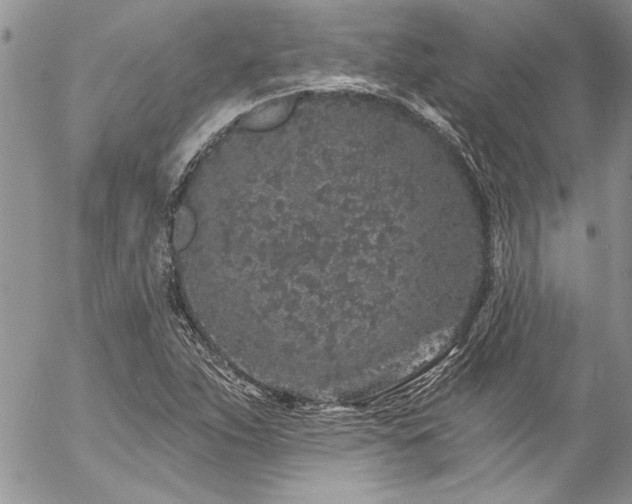 X0000057091263200509091304