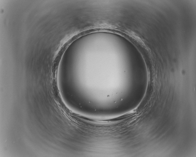 X0000057091264200509091304