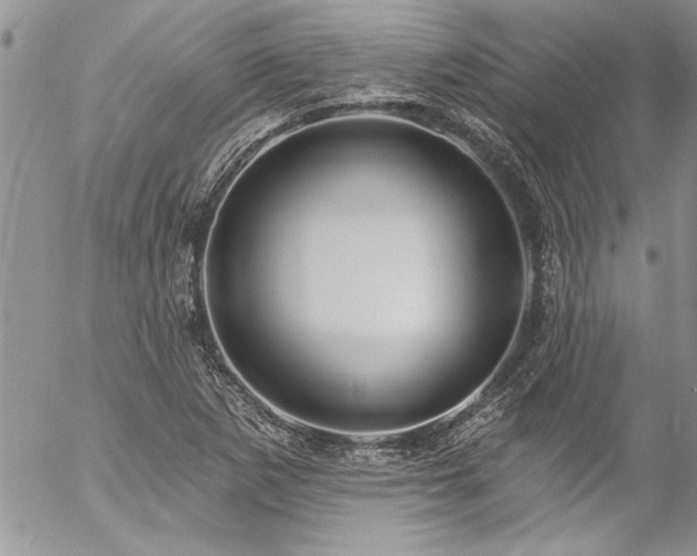 X0000057091265200509091304