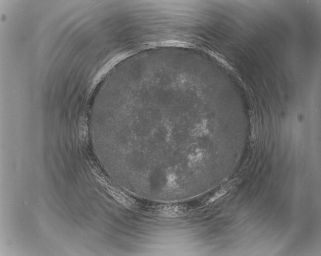 X0000057091266200509091304