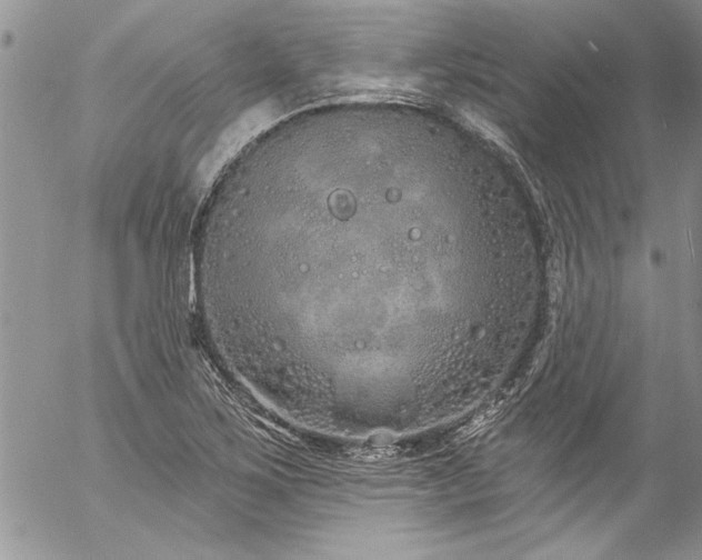 X0000057091267200509091304