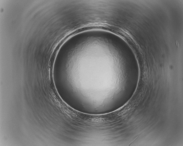 X0000057091268200509091304