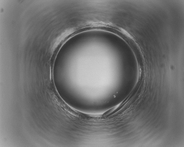 X0000057091269200509091304