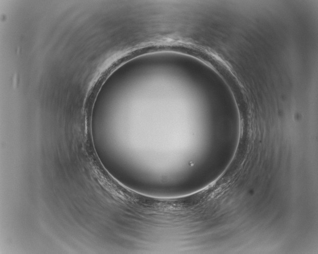 X0000057091270200509091304