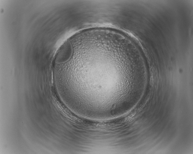 X0000057091271200509091304