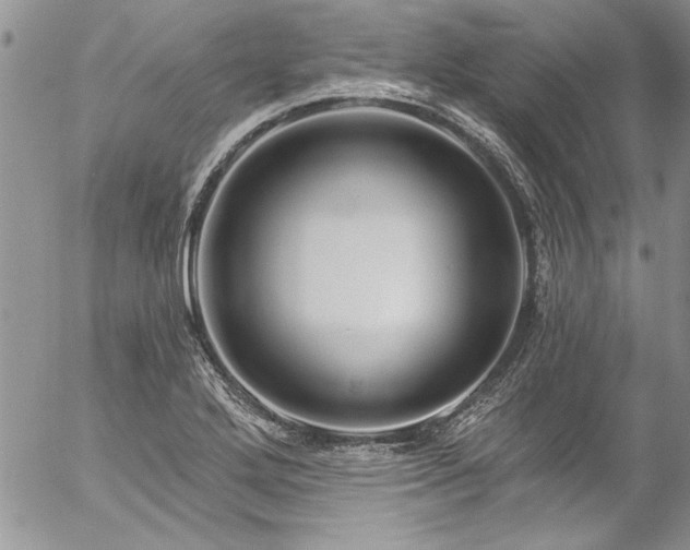 X0000057091272200509091304