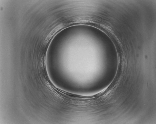 X0000057091273200509091304