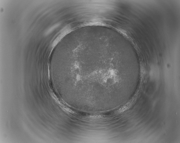 X0000057091274200509091304