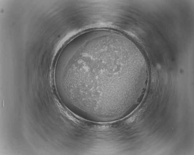 X0000057091278200509091304