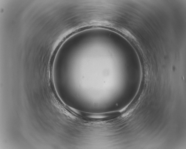 X0000057091280200509091304