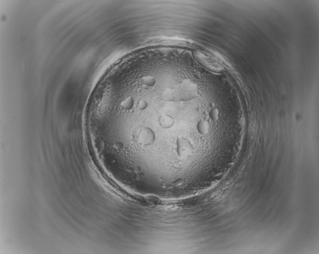 X0000057091283200509091304