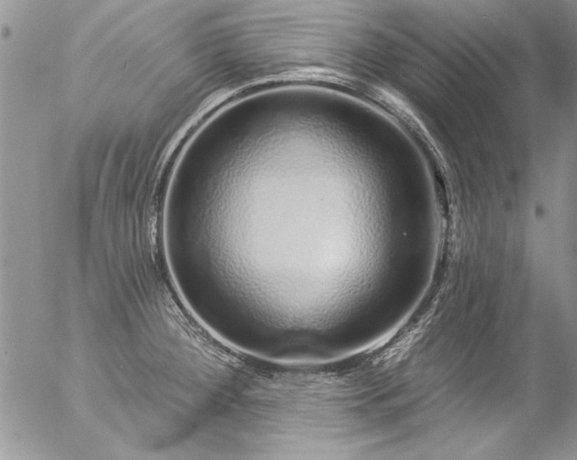 X0000057091284200509091304