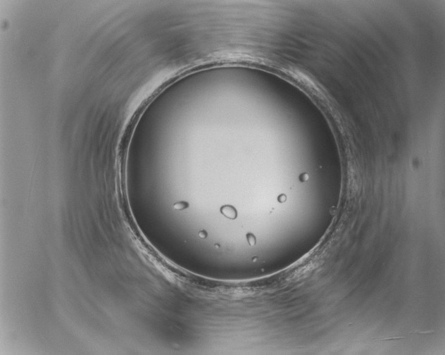 X0000057091286200509091304