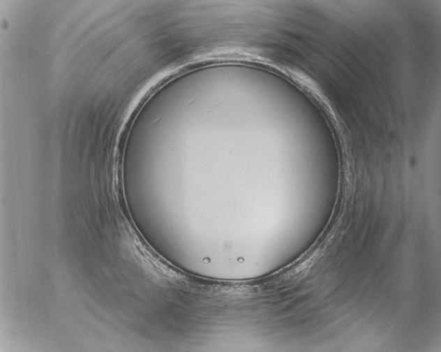 X0000057091288200509091304