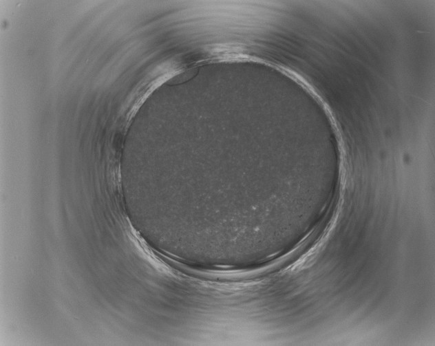 X0000057091289200509091304