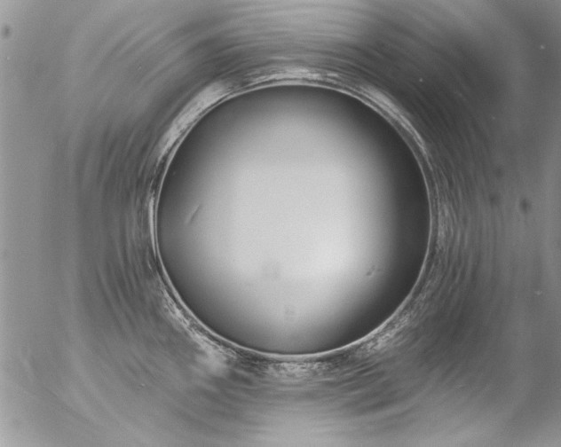 X0000057091290200509091304