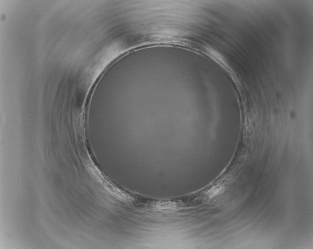 X0000057091291200509091304