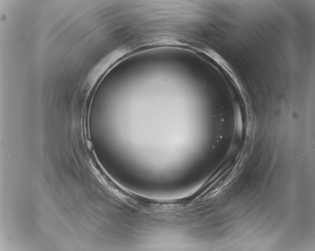 X0000057091293200509091304