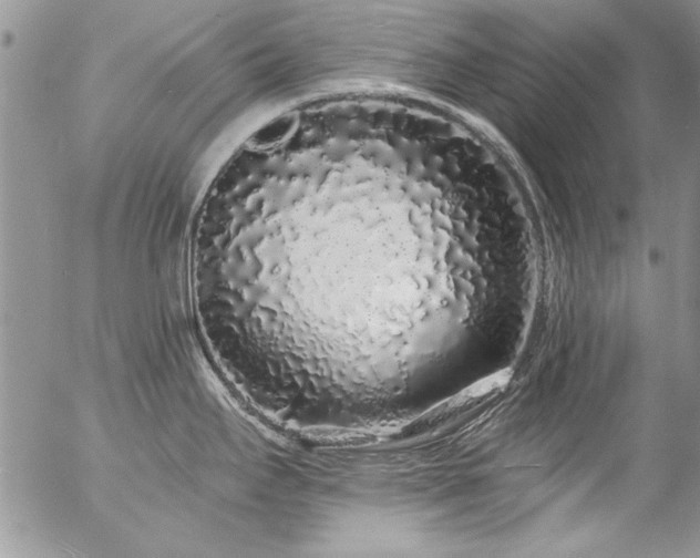 X0000057091295200509091304