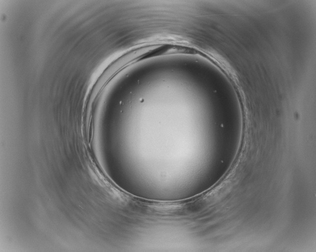 X0000057091296200509091304