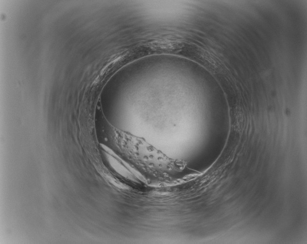 X0000057091297200509091303