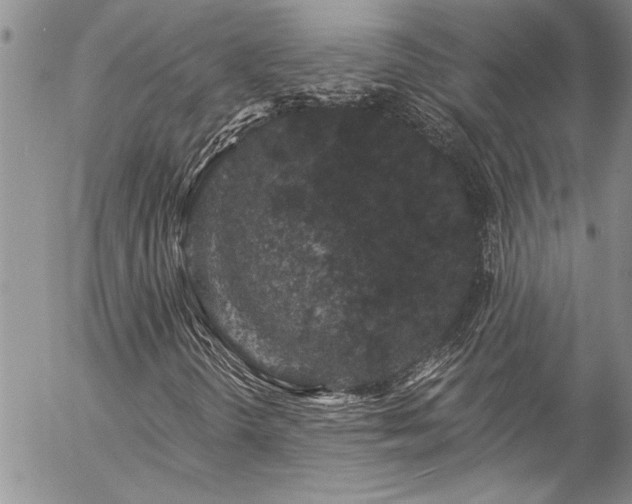 X0000057091298200509091303