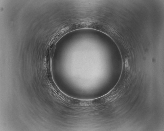 X0000057091299200509091303