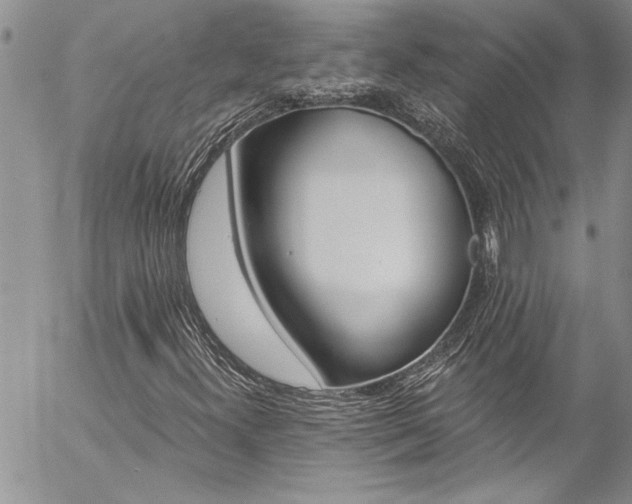 X0000057091300200509091303