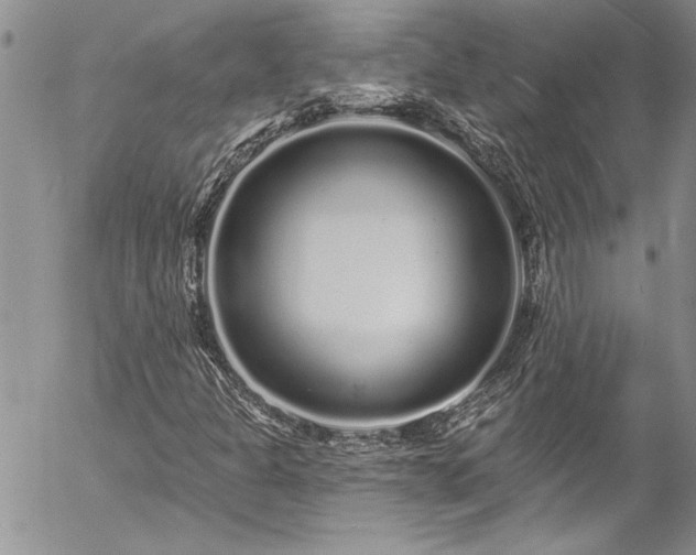 X0000057091301200509091303