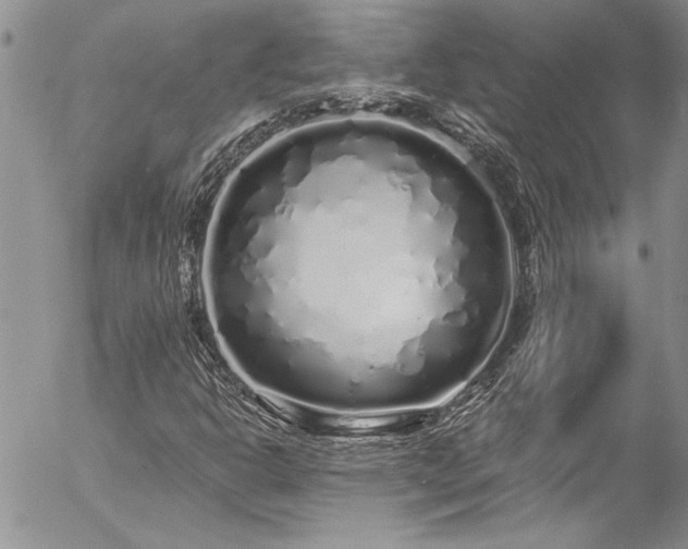 X0000057091302200509091303