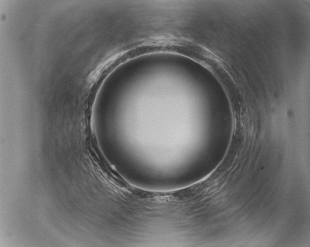 X0000057091304200509091303