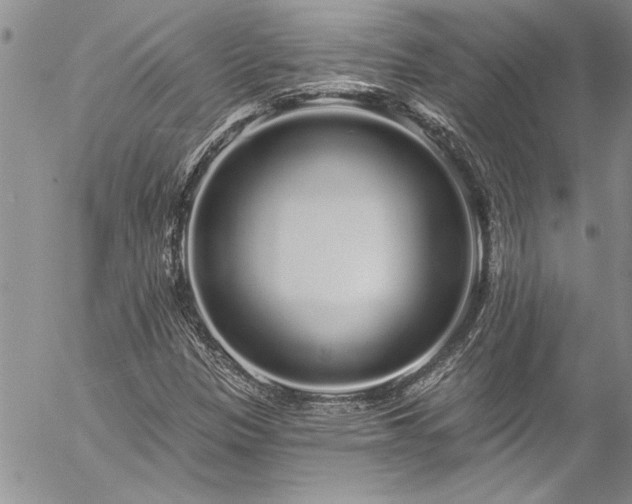 X0000057091305200509091303