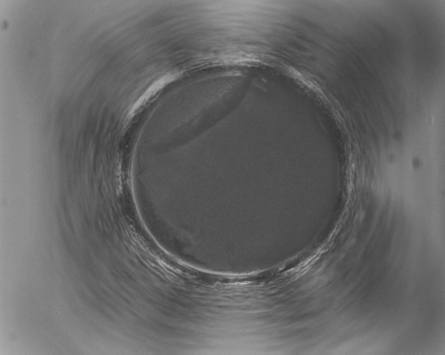 X0000057091306200509091303