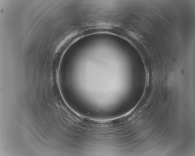 X0000057091307200509091303