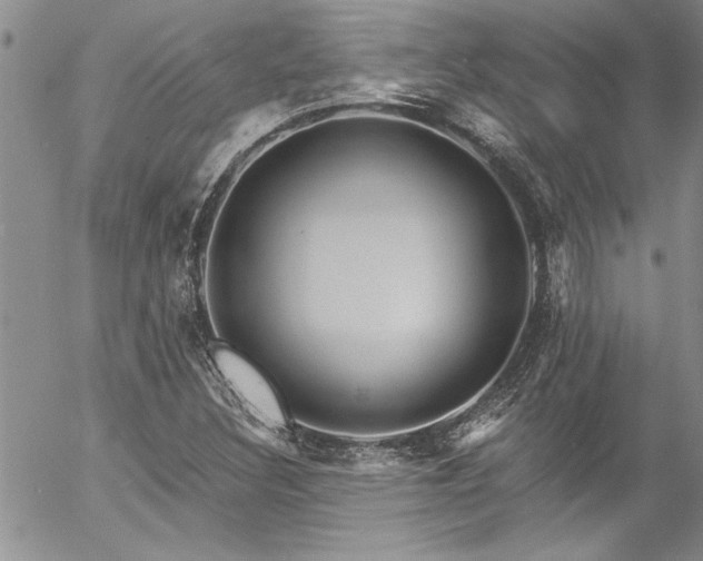 X0000057091308200509091303