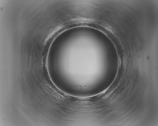 X0000057091309200509091303