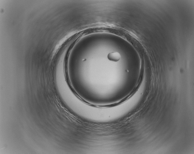 X0000057091310200509091303