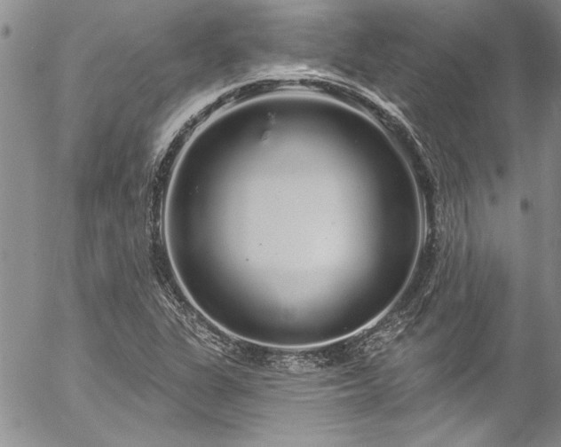 X0000057091311200509091303