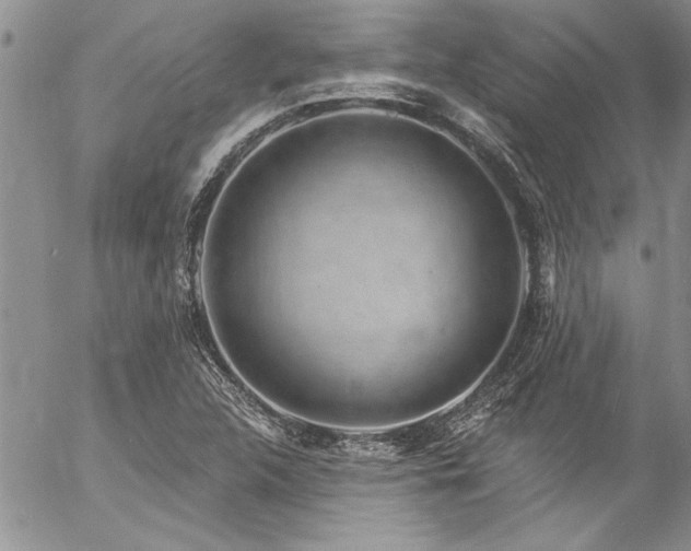 X0000057091312200509091303