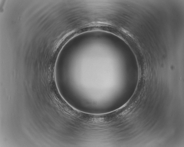 X0000057091313200509091303