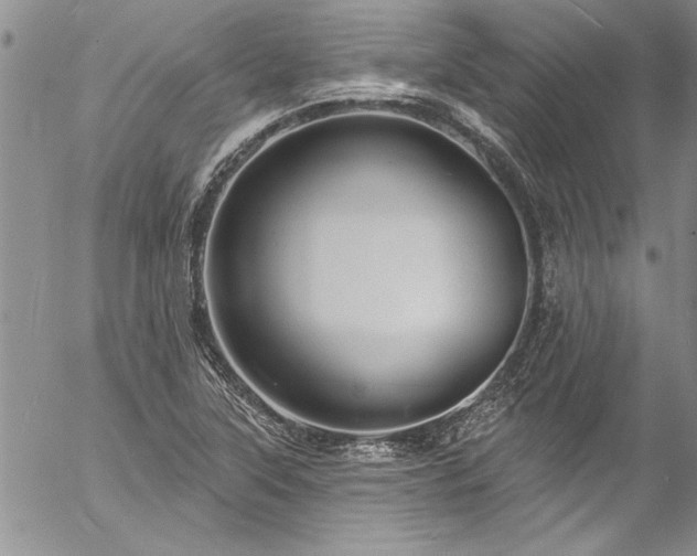 X0000057091315200509091303