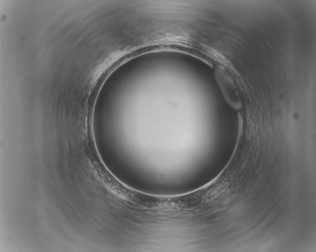 X0000057091316200509091303