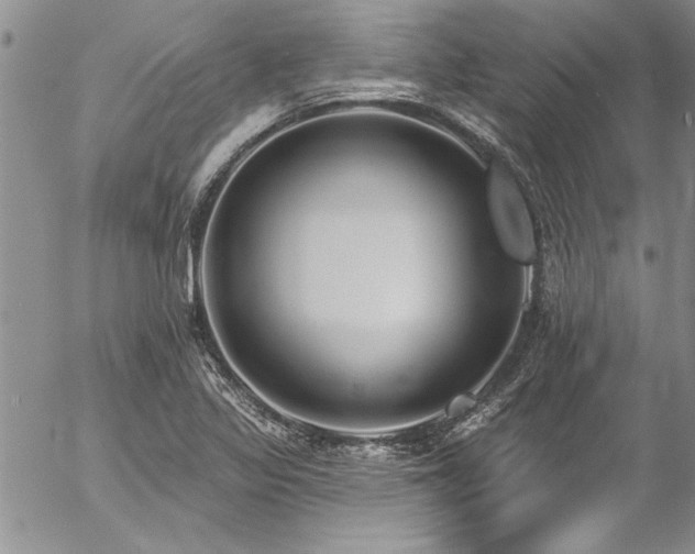 X0000057091317200509091303