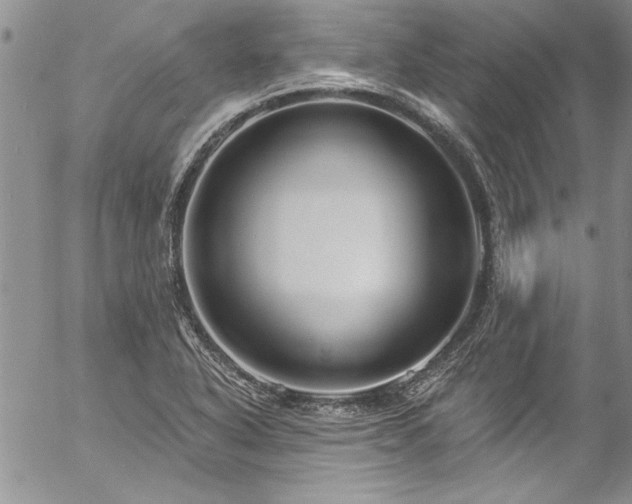 X0000057091318200509091303