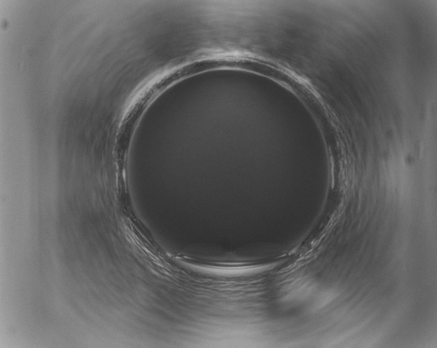 X0000057091319200509091303