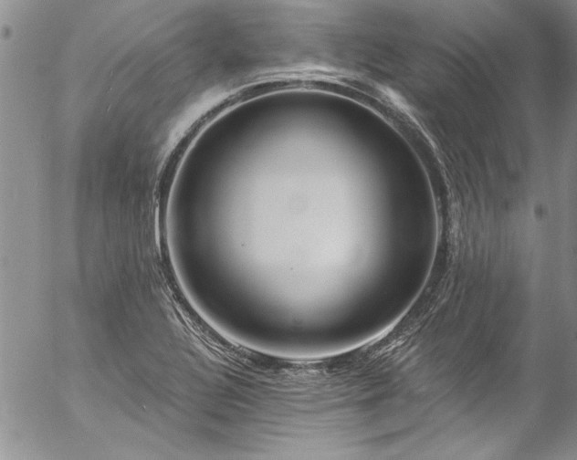 X0000057091320200509091303