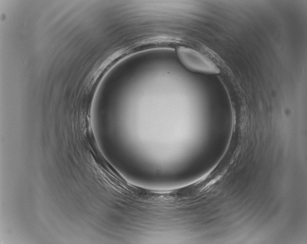 X0000057091321200509091303