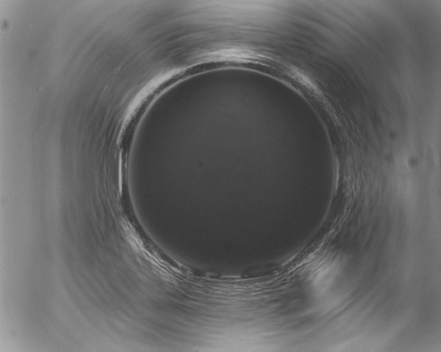 X0000057091323200509091303